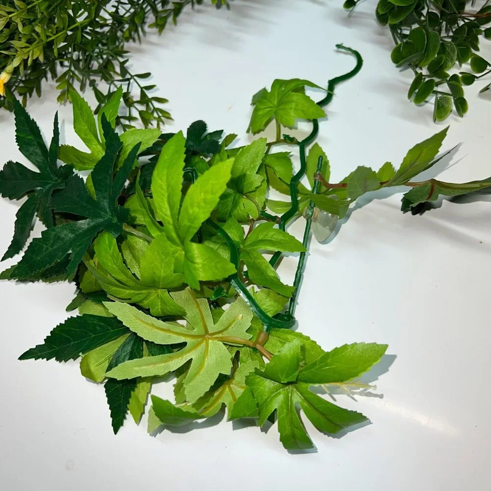 N/A reptile plant